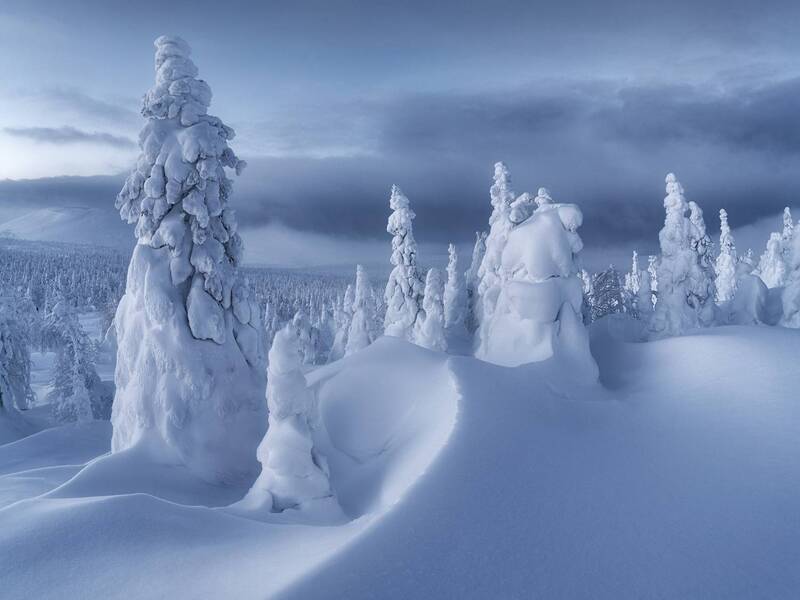 Все оттенки синего фото превью