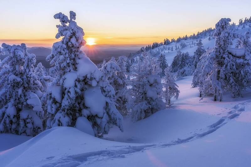 Там, на неведомых дорожках фото превью