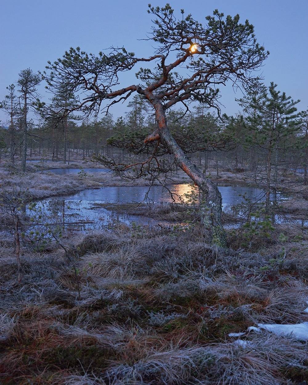 , Петр Косых