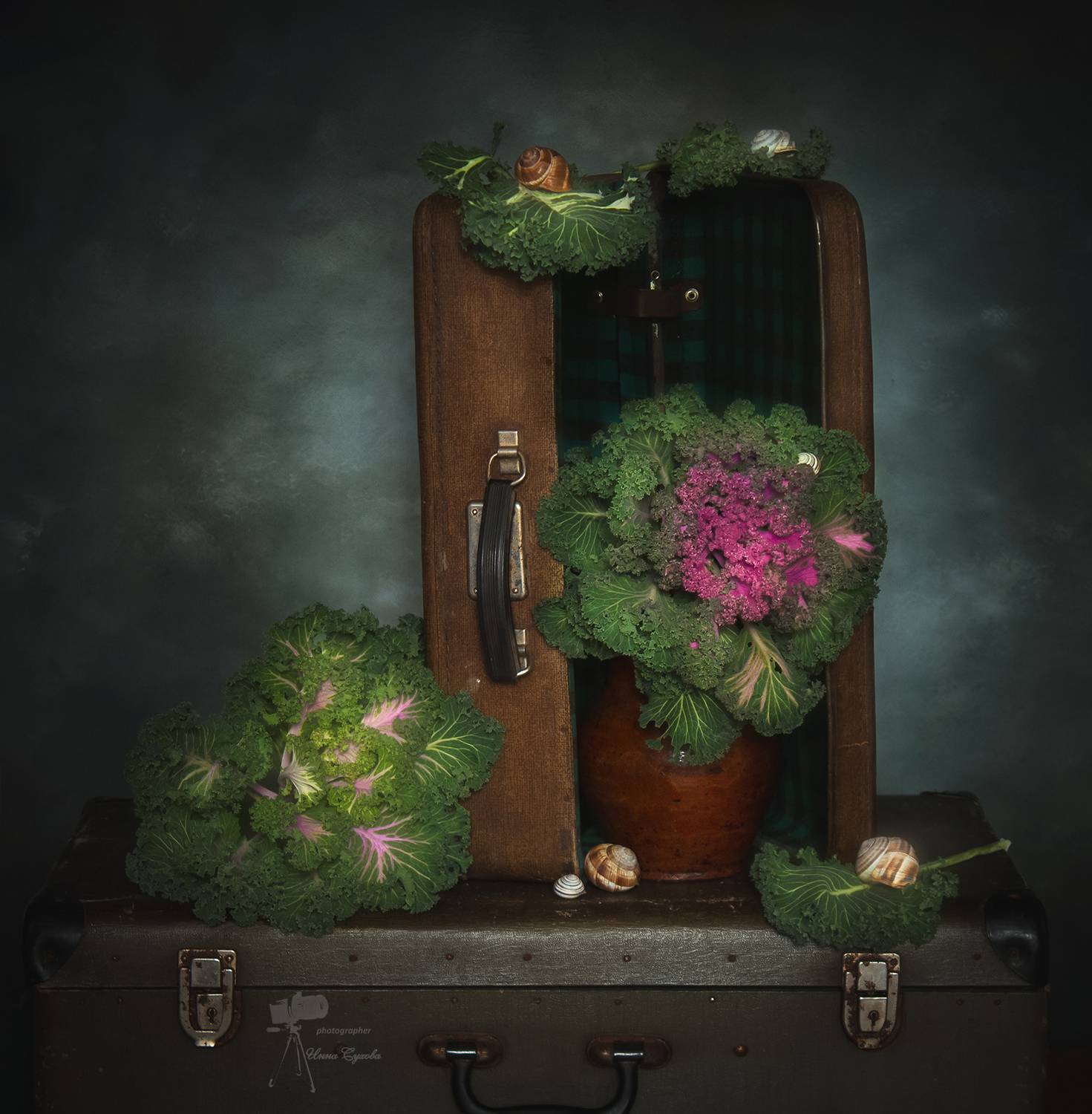 , Инна Сухова