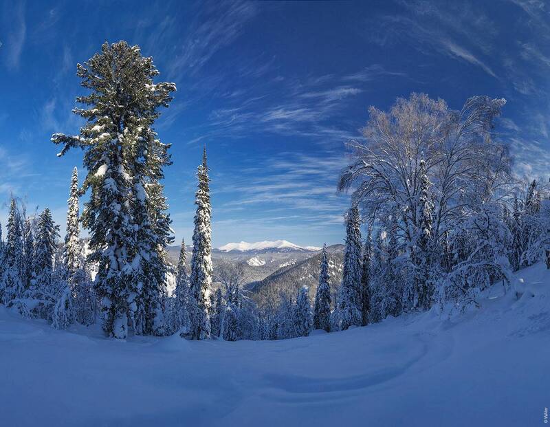 Лужба фото превью