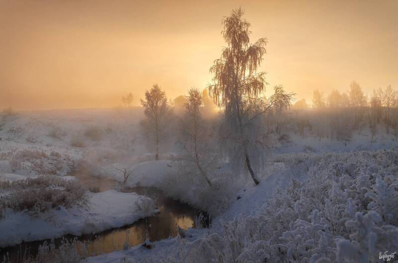 Морозное утро в Кожуховке. Тульская область, Щекинский район. фото превью