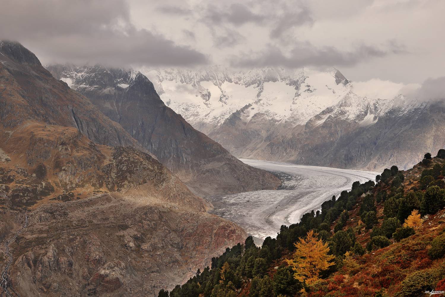 swiss, Матвеев Николай