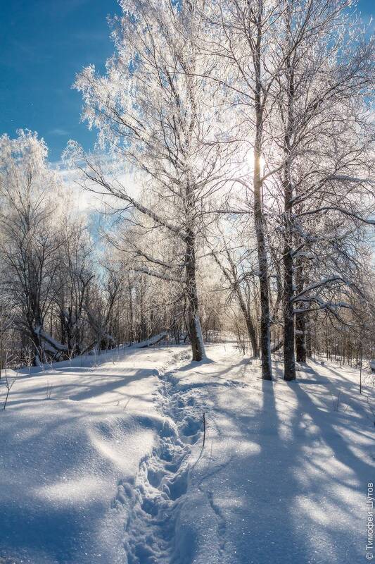 валдай Зимний день на Валдае фото превью