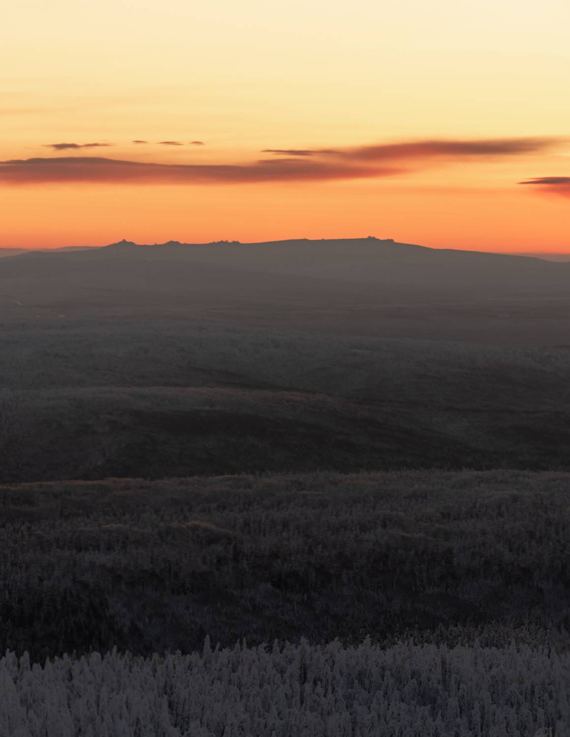, Малыгин Андрей