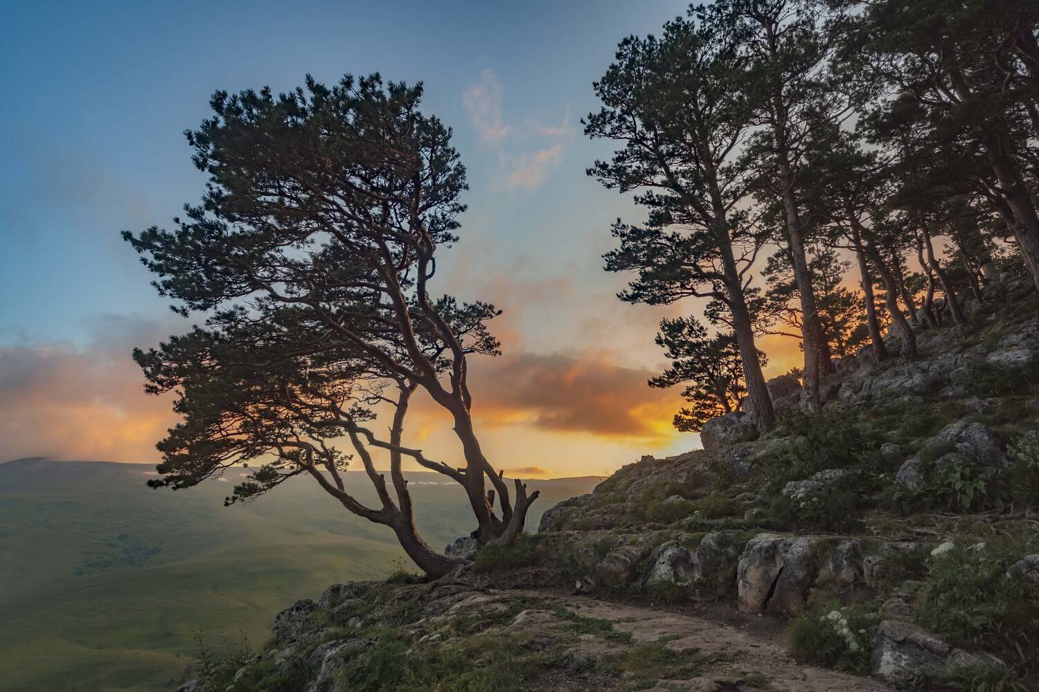 природа, Алексей Мякота