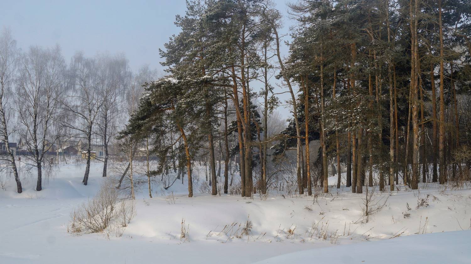 , Сушкевич Светлана