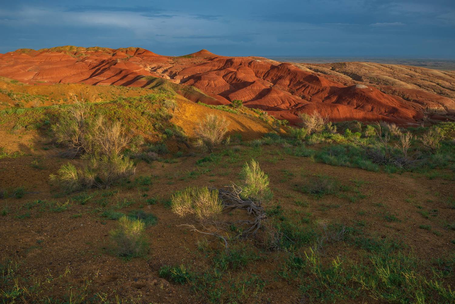 каинды, кольсай, тузколь, чарынский, чарын, чарынскиий_каньон, алтын_емель, алтынемель, Эдуард Кутыгин