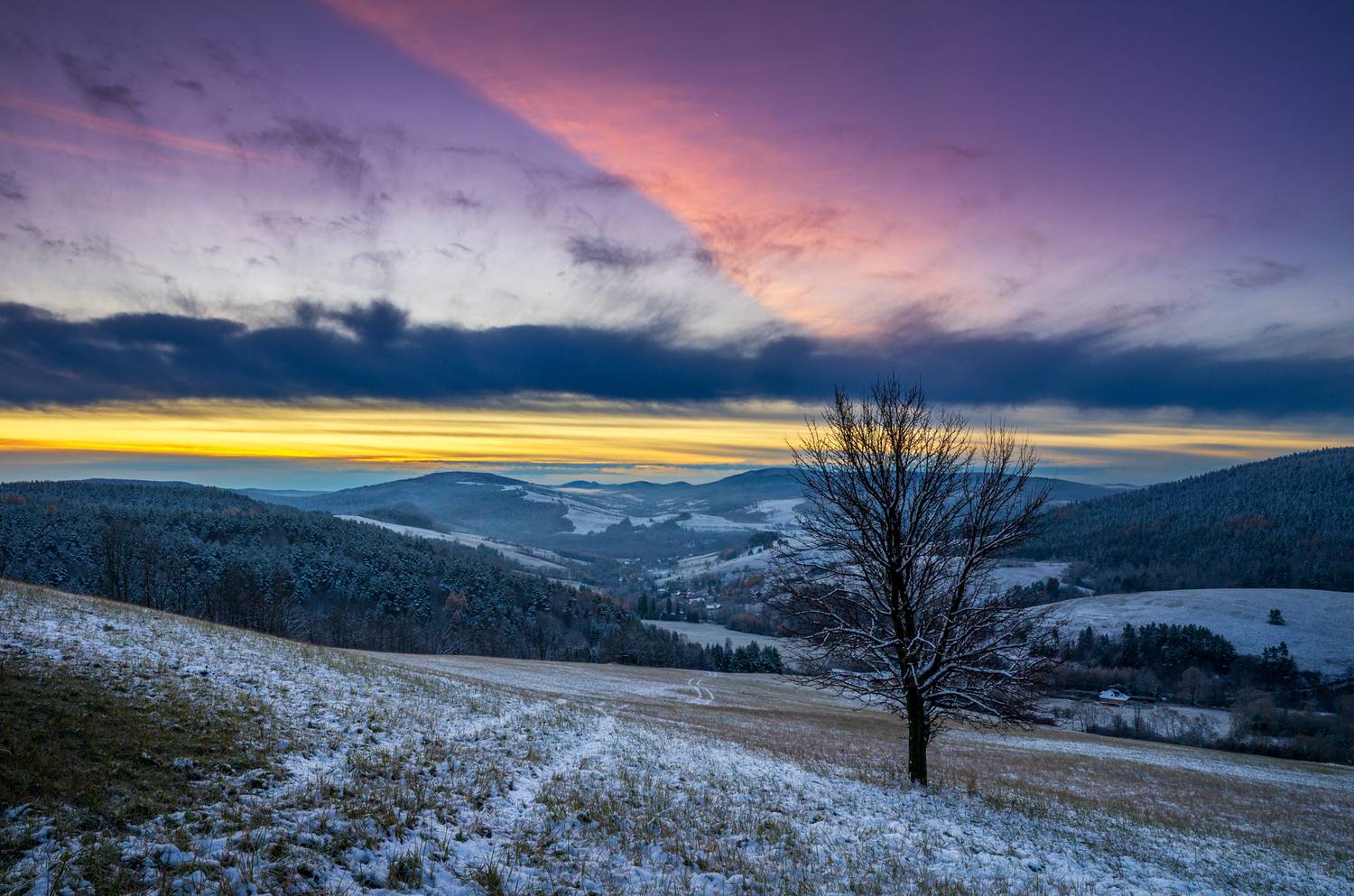,  Mirosław Pruchnicki