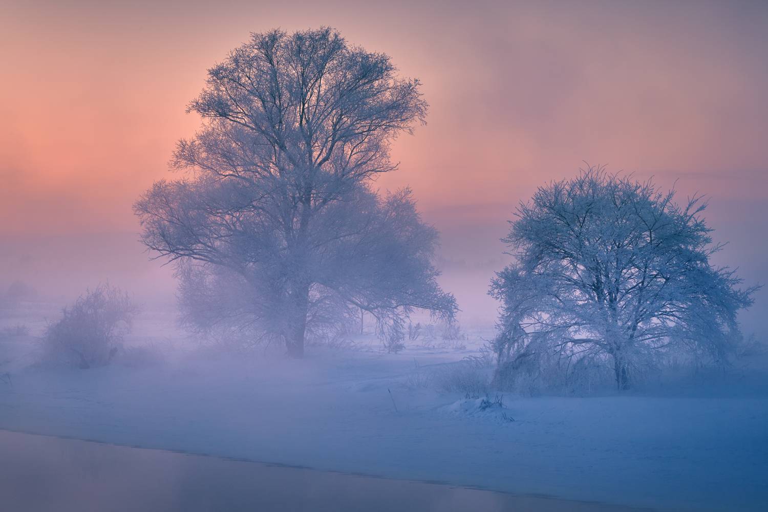 , Роман Лушпа