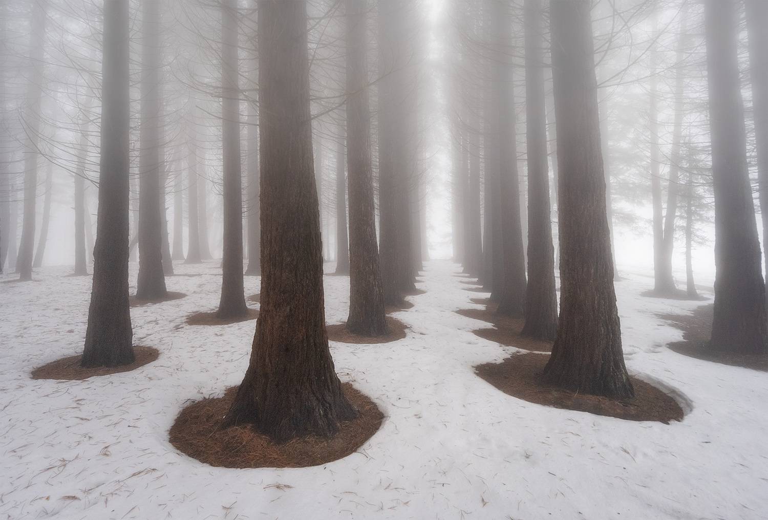 , Андрей Родионов