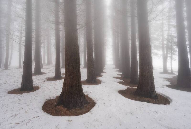 Крым фото превью