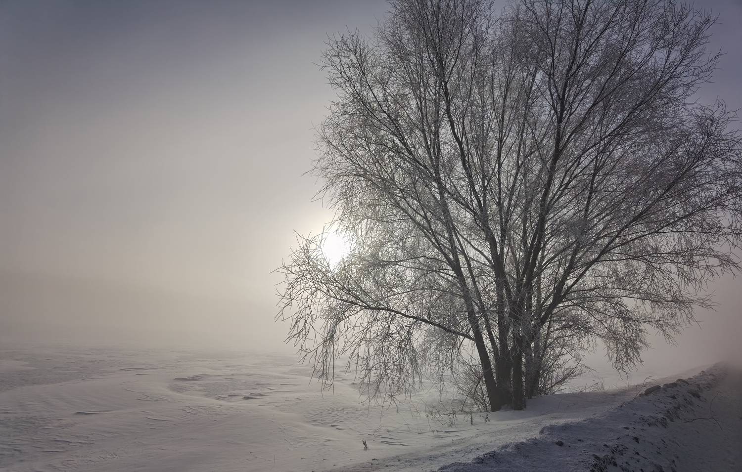 , Владлен Халимов