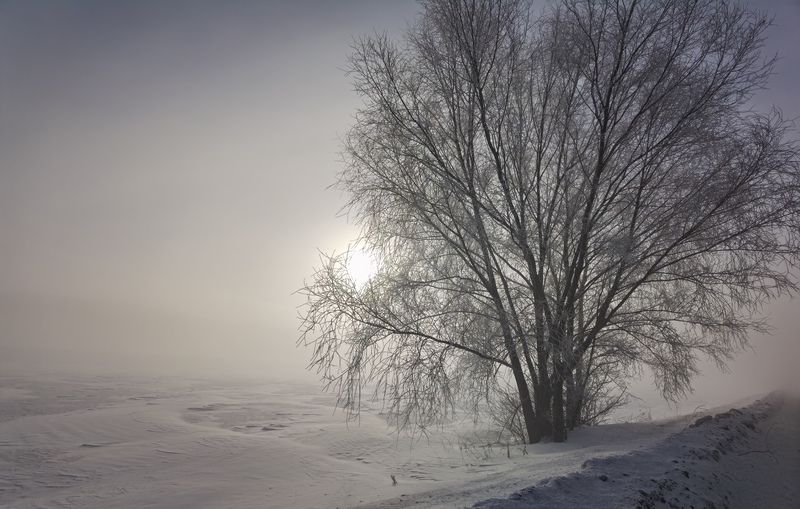 Ледяное безмолвие фото превью
