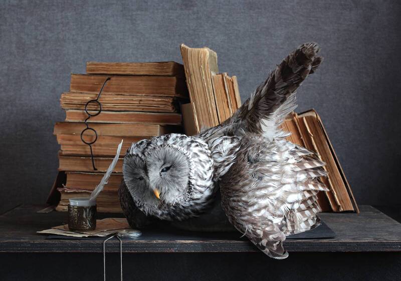 ШР фото превью