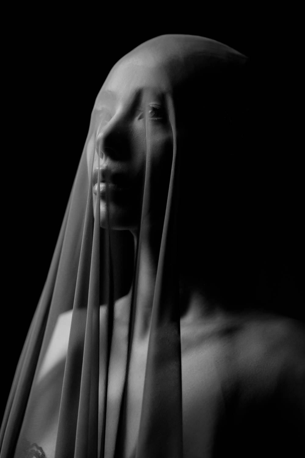 , Медведев Влад