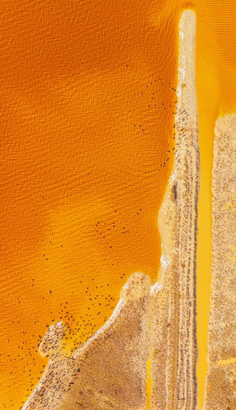 Highness фото превью