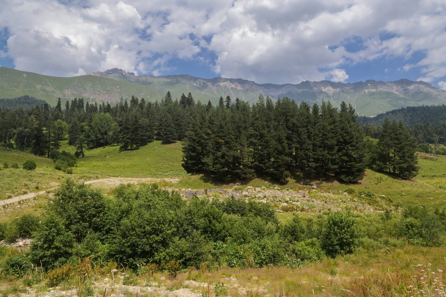 , Лысенко Сергей