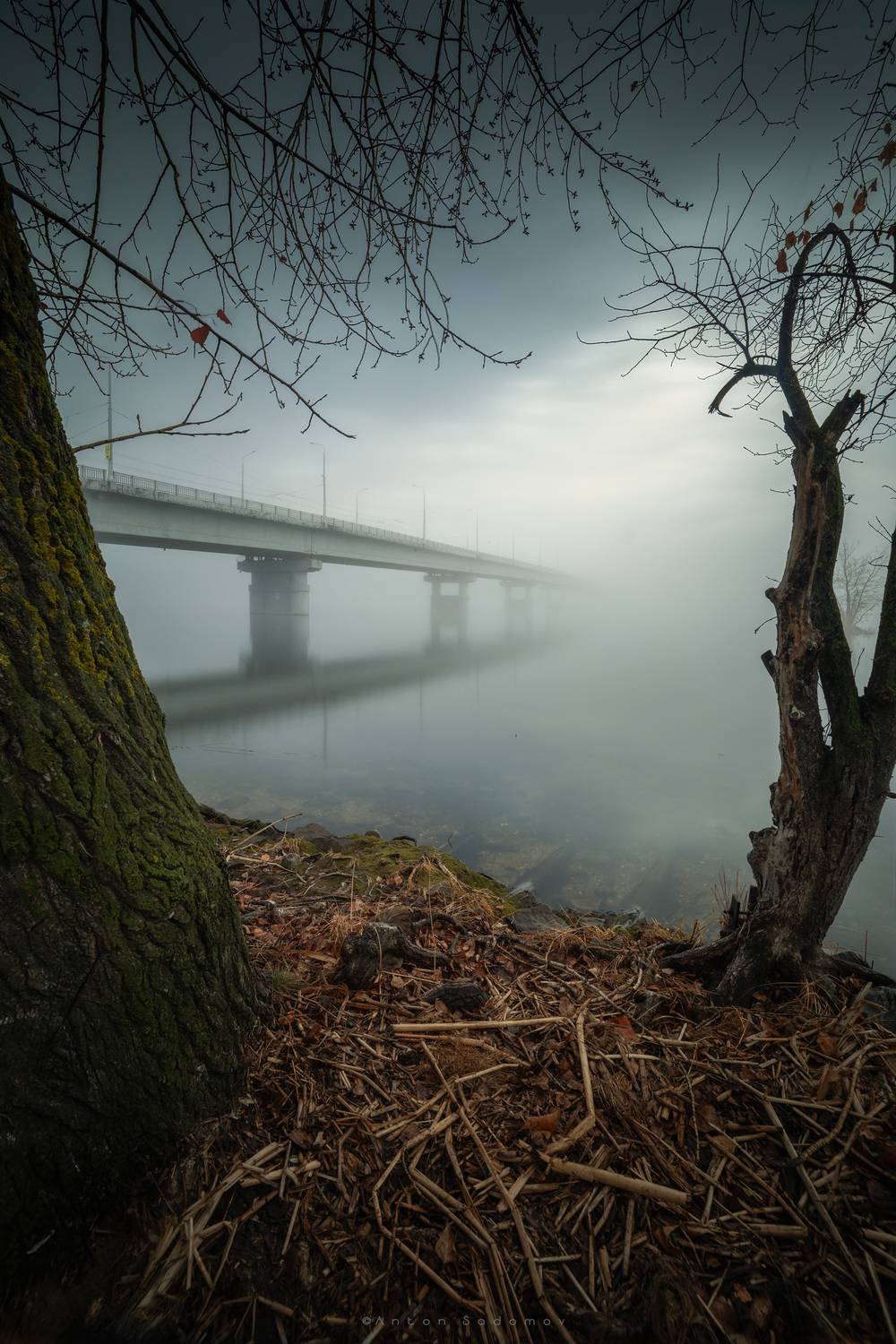 саратов, Антон Садомов