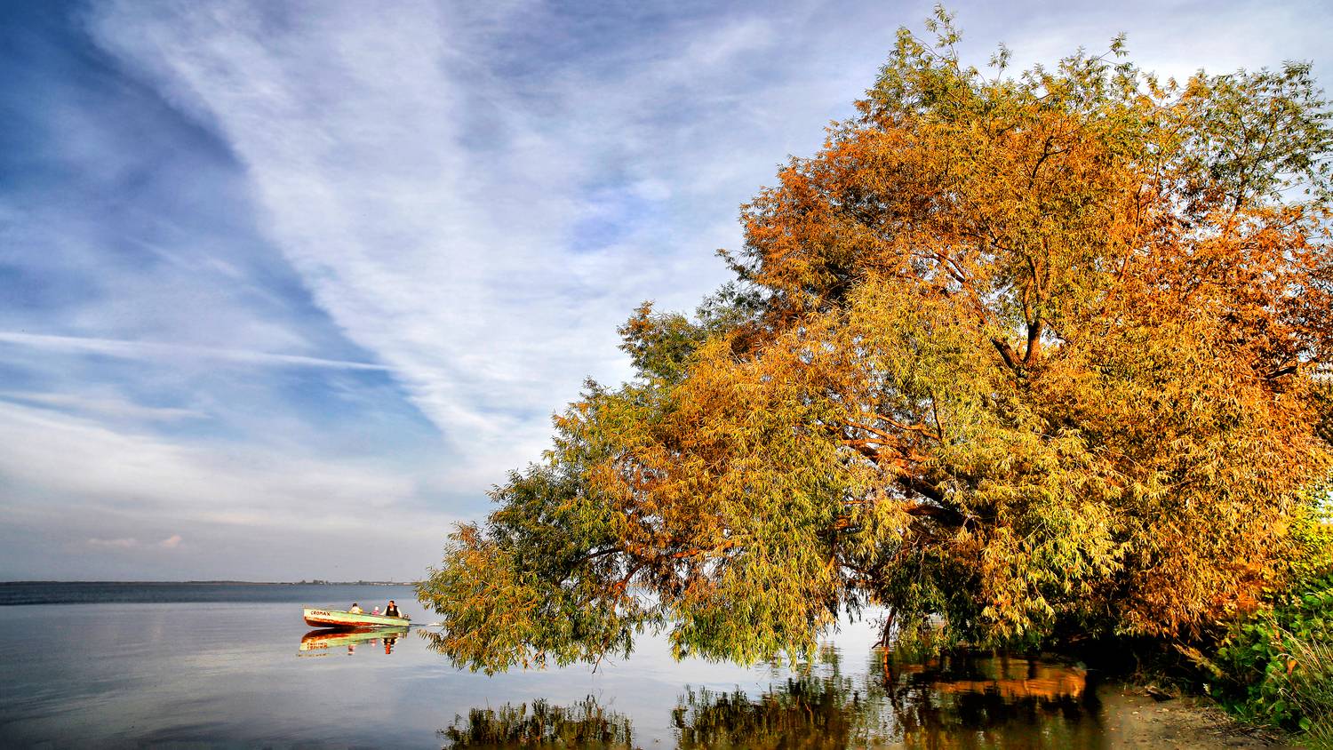 , Ушаков Валерий