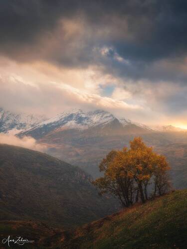 Misty Mountain