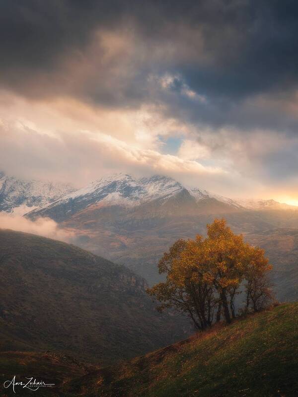 Misty Mountain фото превью