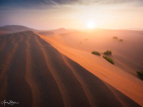 Al-Razeen Desert