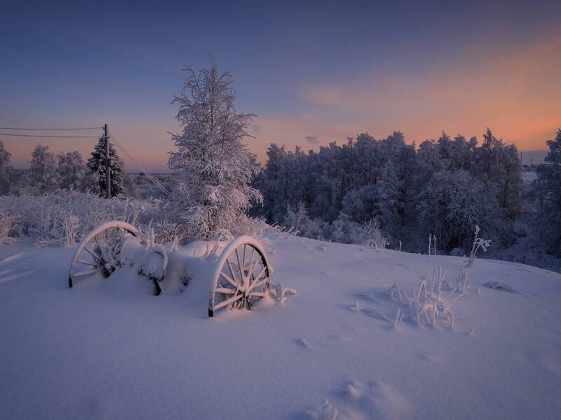 кильца, мезень, архангельская область Долгий сон до весны фото превью
