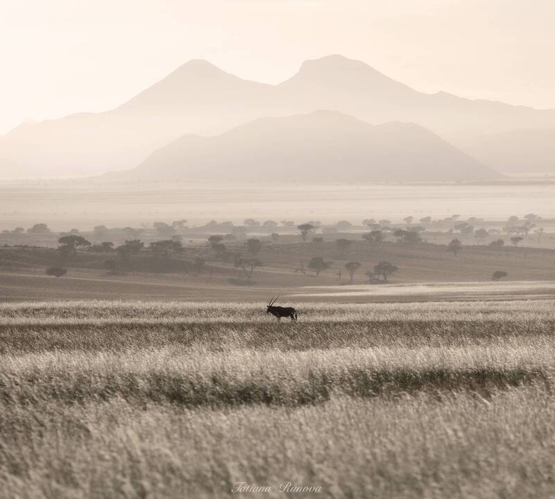 Ветер свободы фото превью