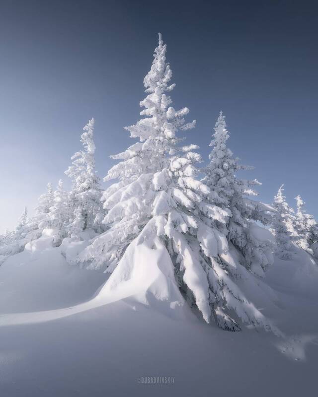 елки, снег, мороз, таганай, южый урал *** фото превью