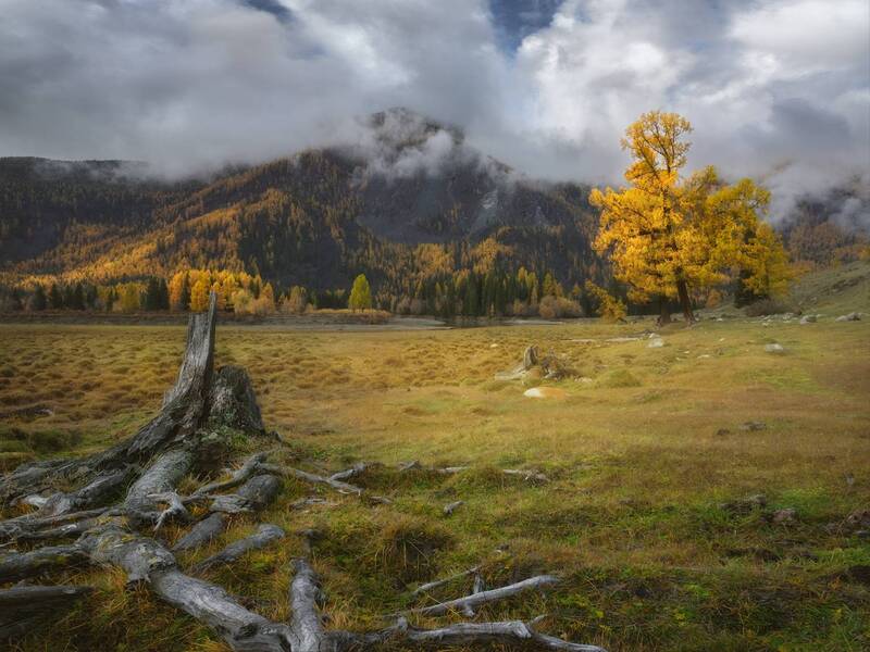 Стадии жизни фото превью
