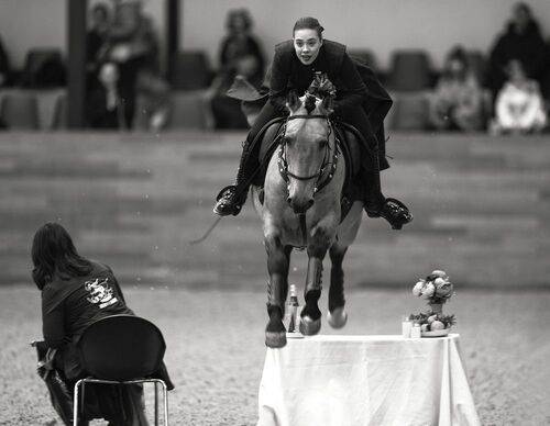 Полет в ритме конного искусства