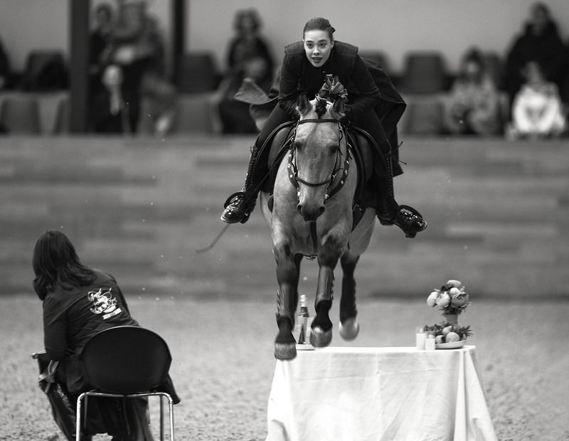 выступление, спорт, horse, competition, movement, sport Полет в ритме конного искусства фото превью