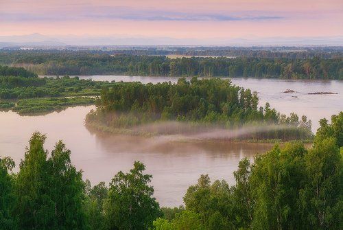 Завитушка тумана