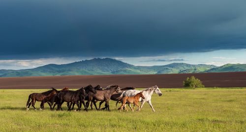 Вперед, к свободе