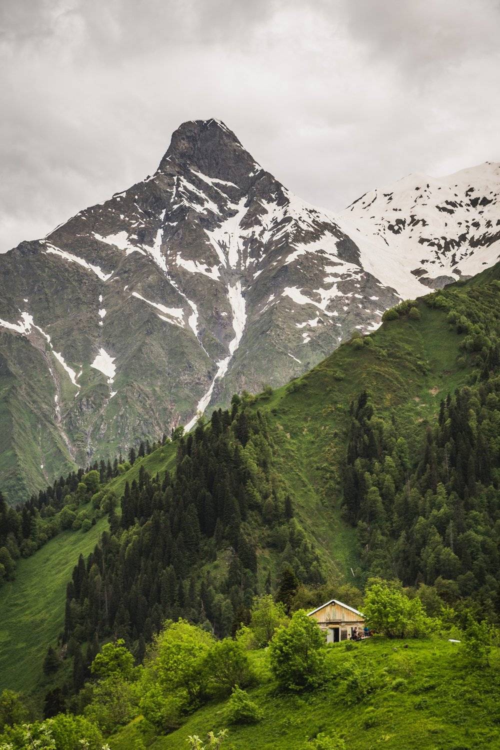 , Mindia Charkseliani