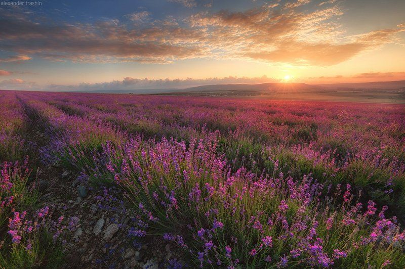 Colors of Turgenevka