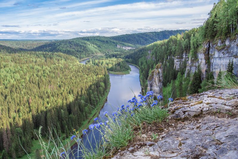 фото превью