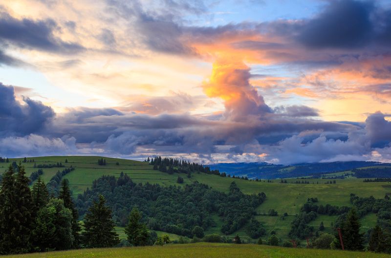 После дождя фото превью