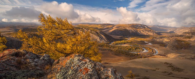 Всем ветрам назло фото превью
