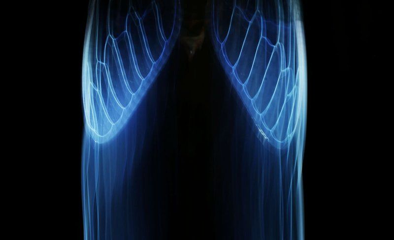 перо  фото превью