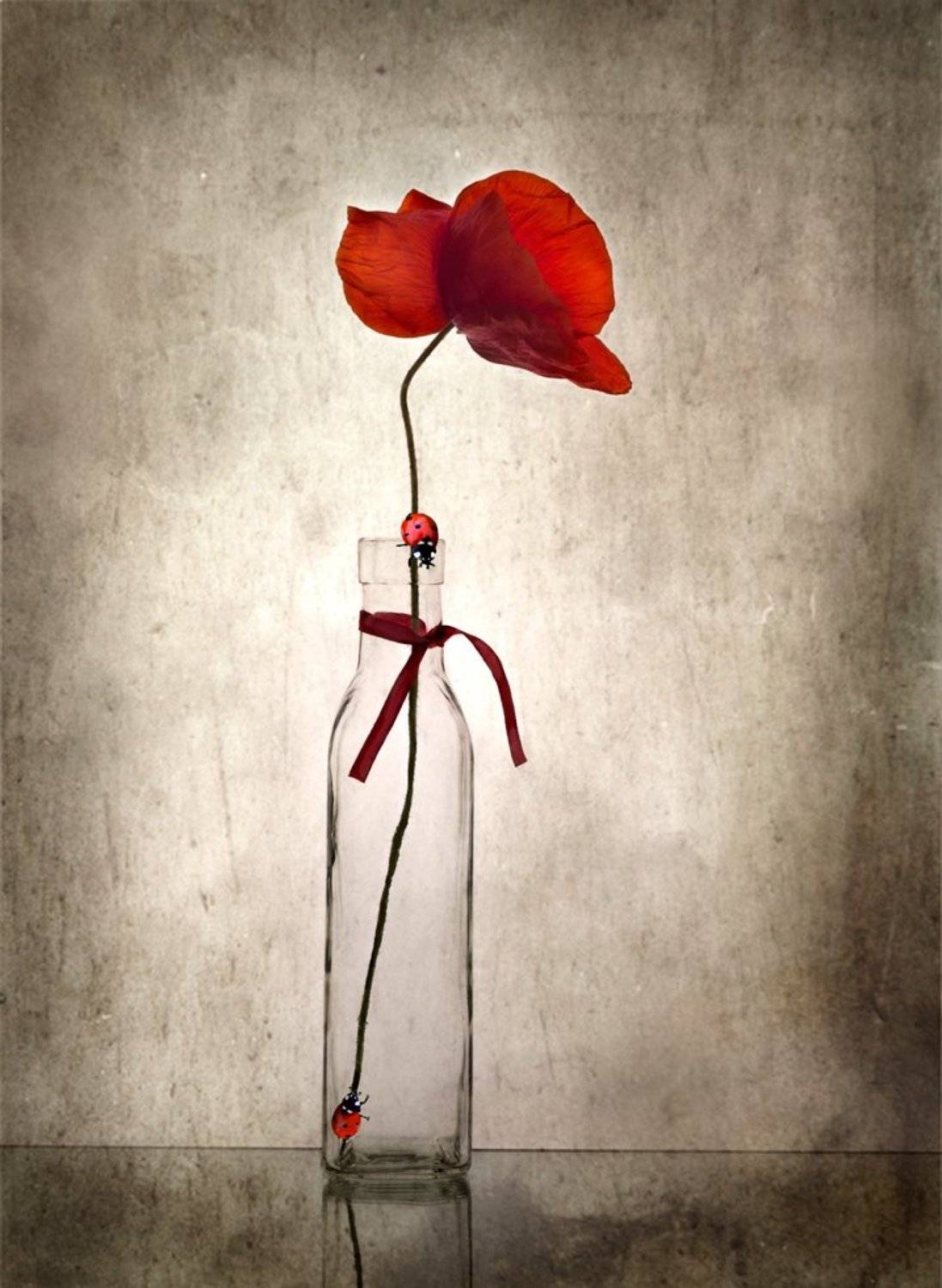 , Людмила Прокофьева