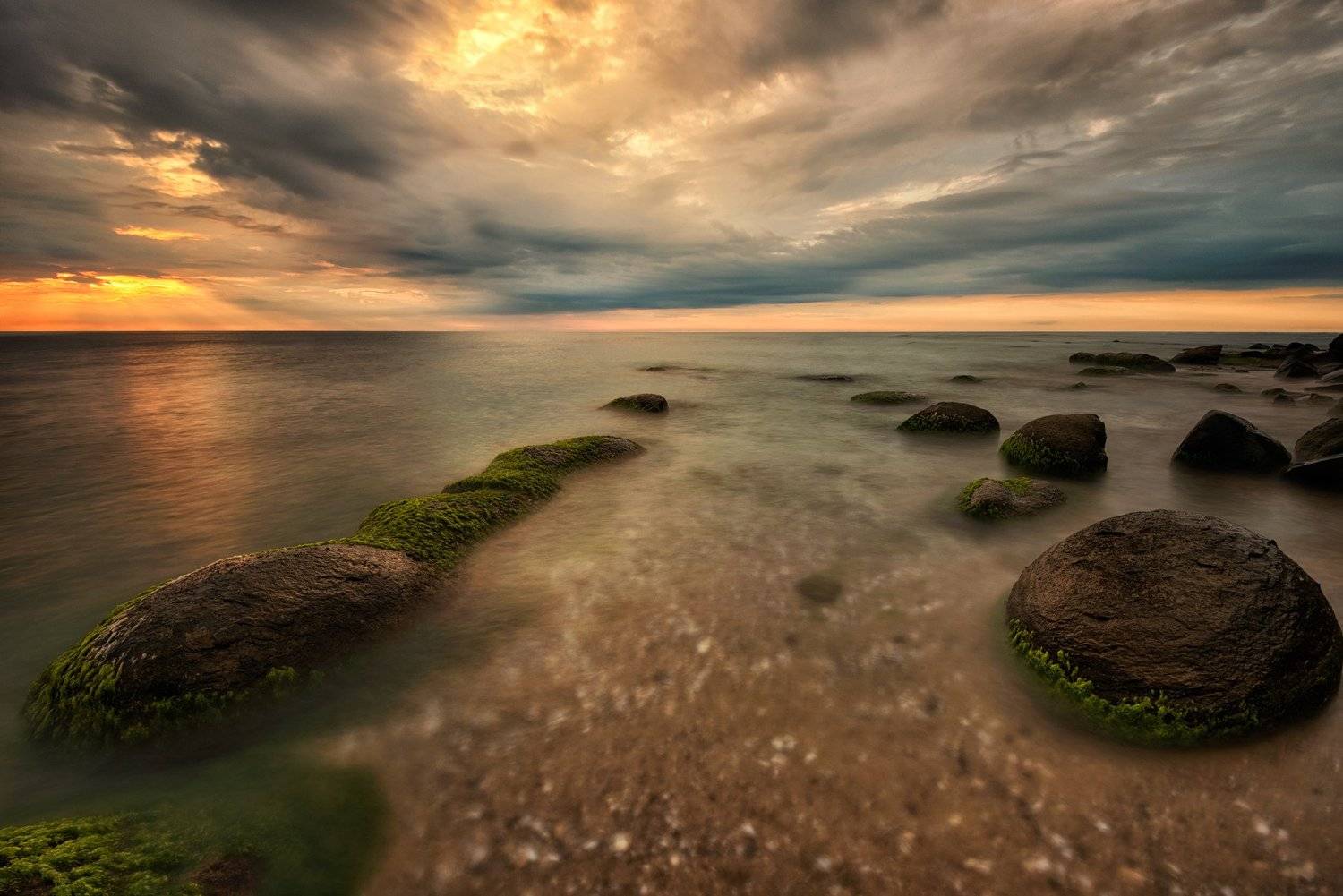 , Весела Маринова