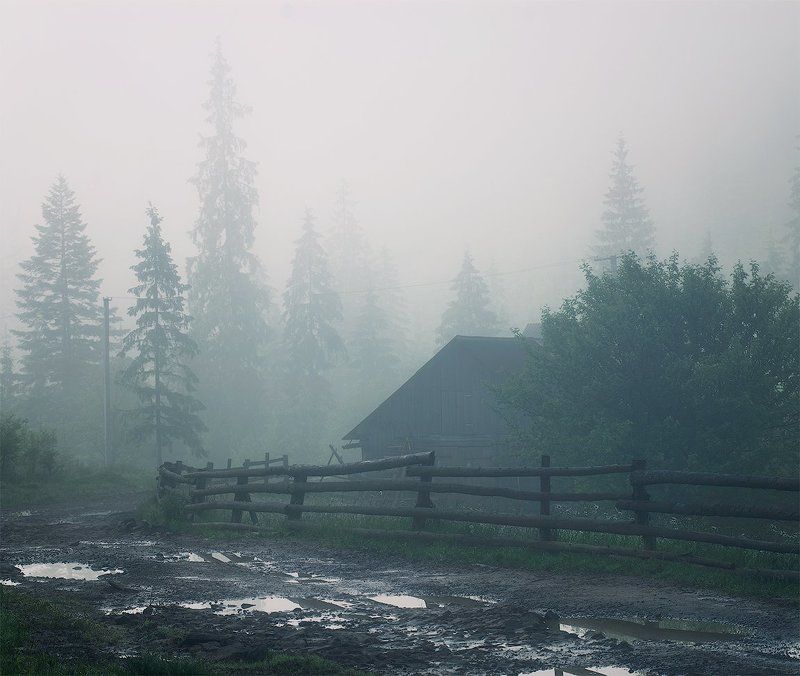 На проселочной дороге фото превью