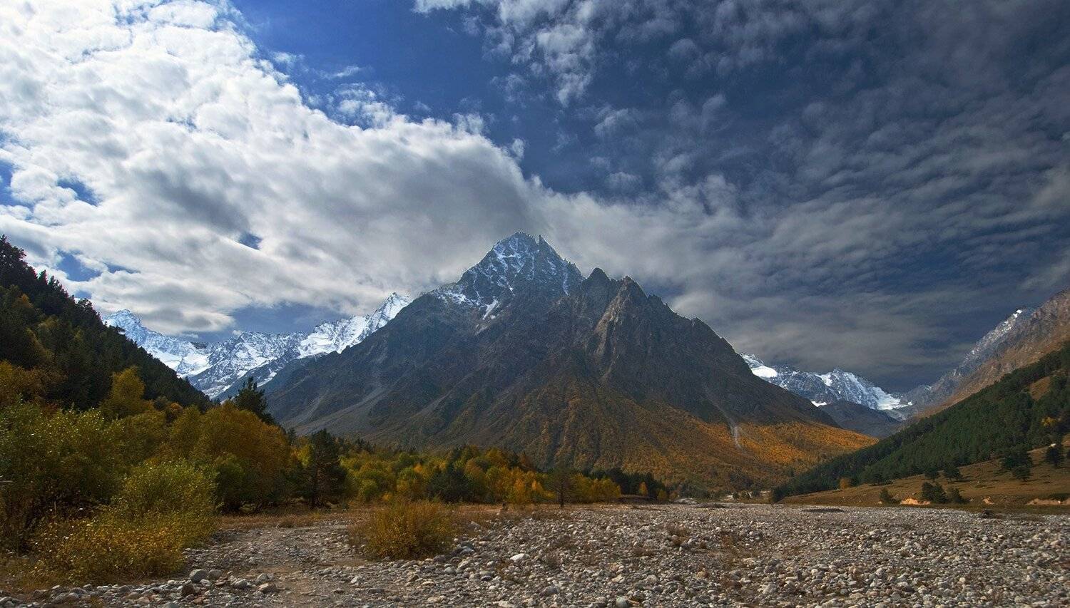 , Хасан Журтов