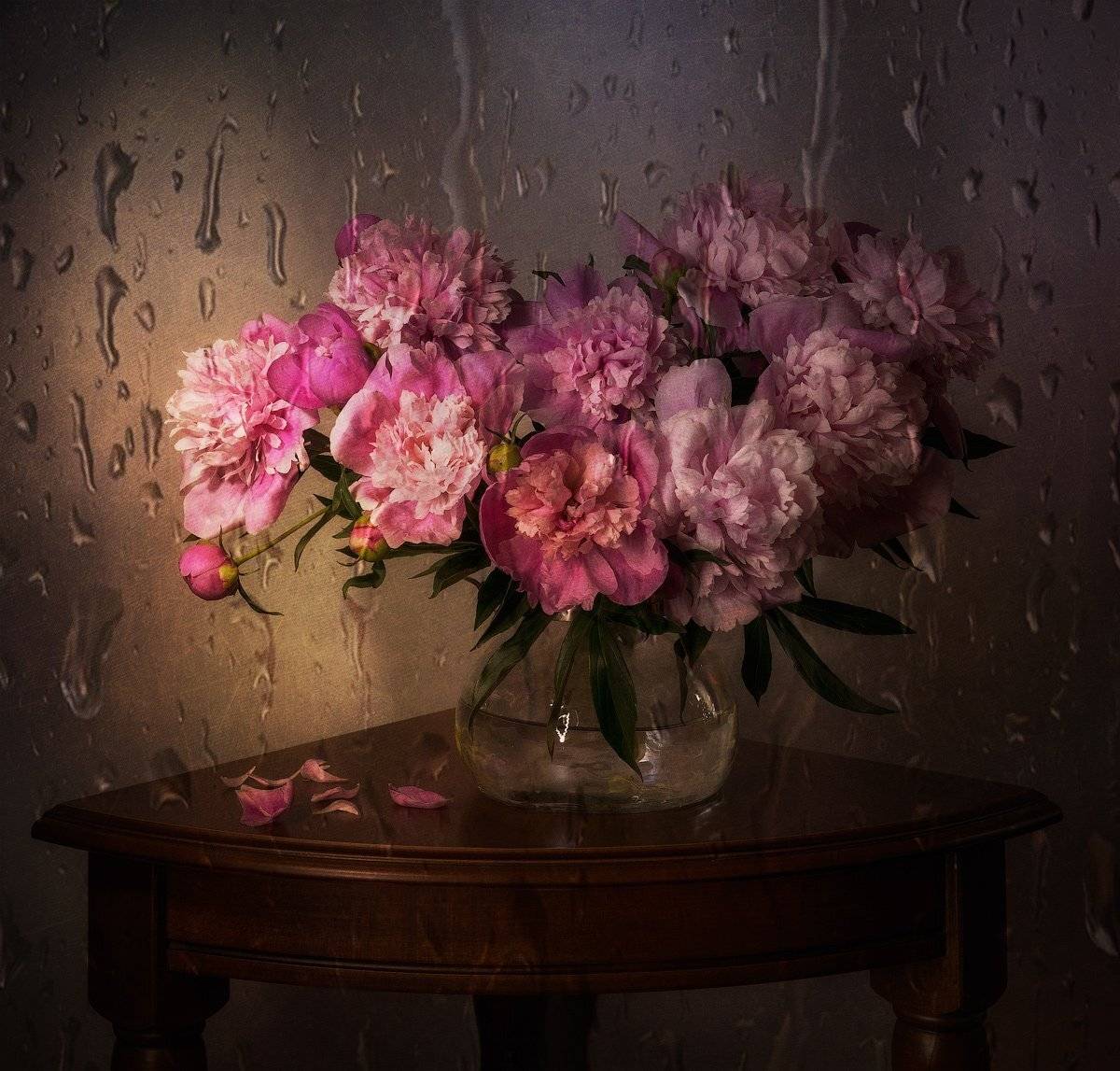, Natalya P.