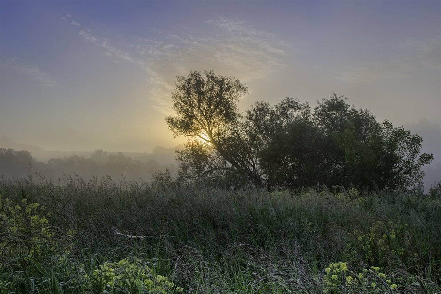 2016, D3100, Nikon, Июнь, Лето, Природа, Рассвет, Россия, Тульская область, Утро, Денис Щербак