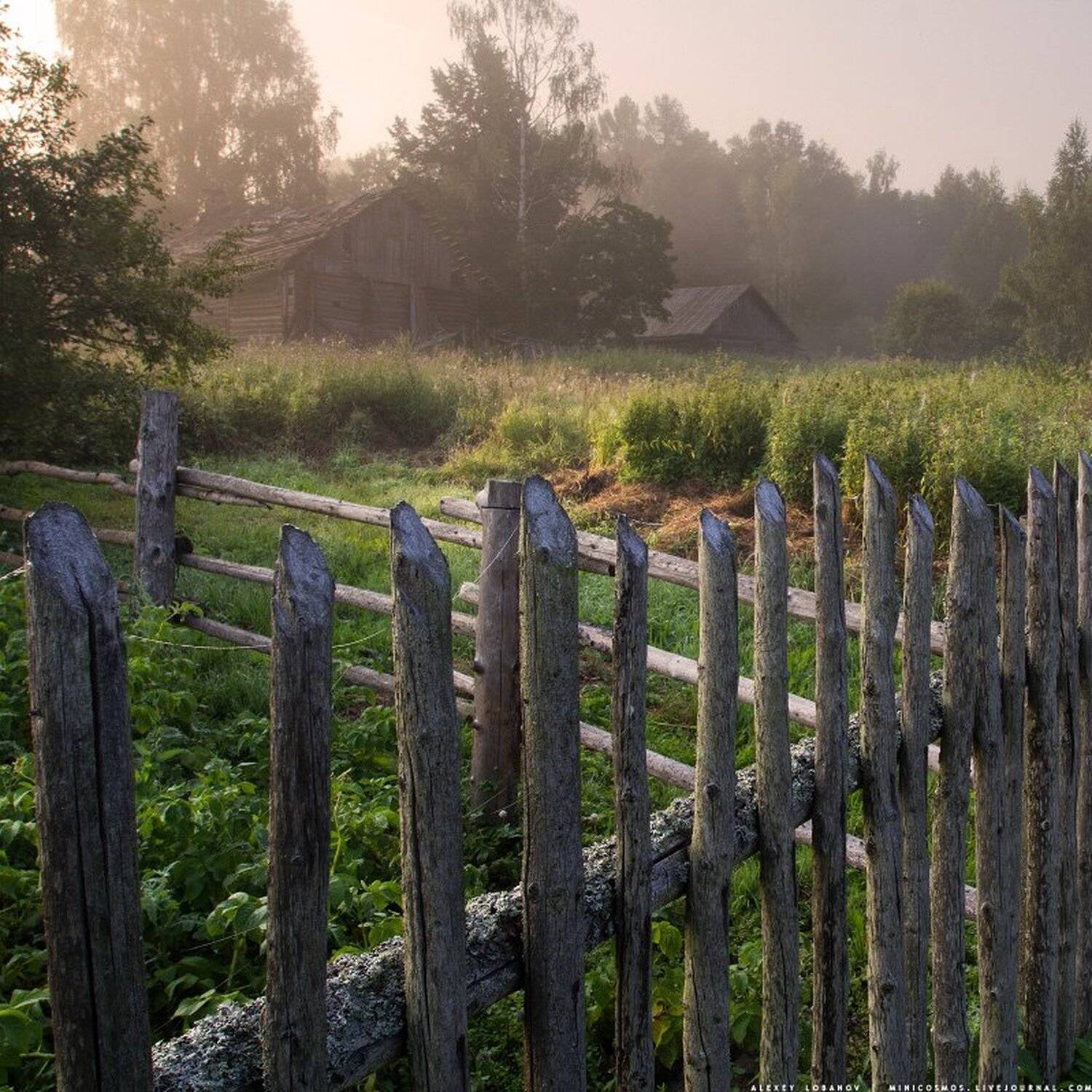 , Алексей Лобанов