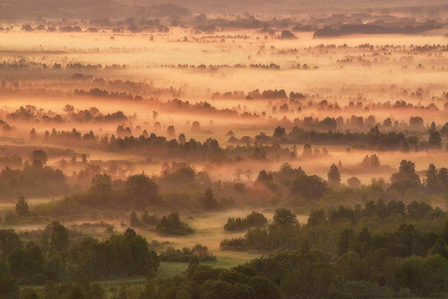 Altai, Altai krai, Fog, Siberia, Алтай, Алтайский край, Сибирь, Туман, Павел Филатов