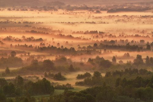 Долина розовых туманов